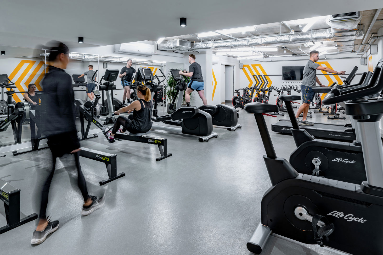 XBP_Gym_Bouldering-17