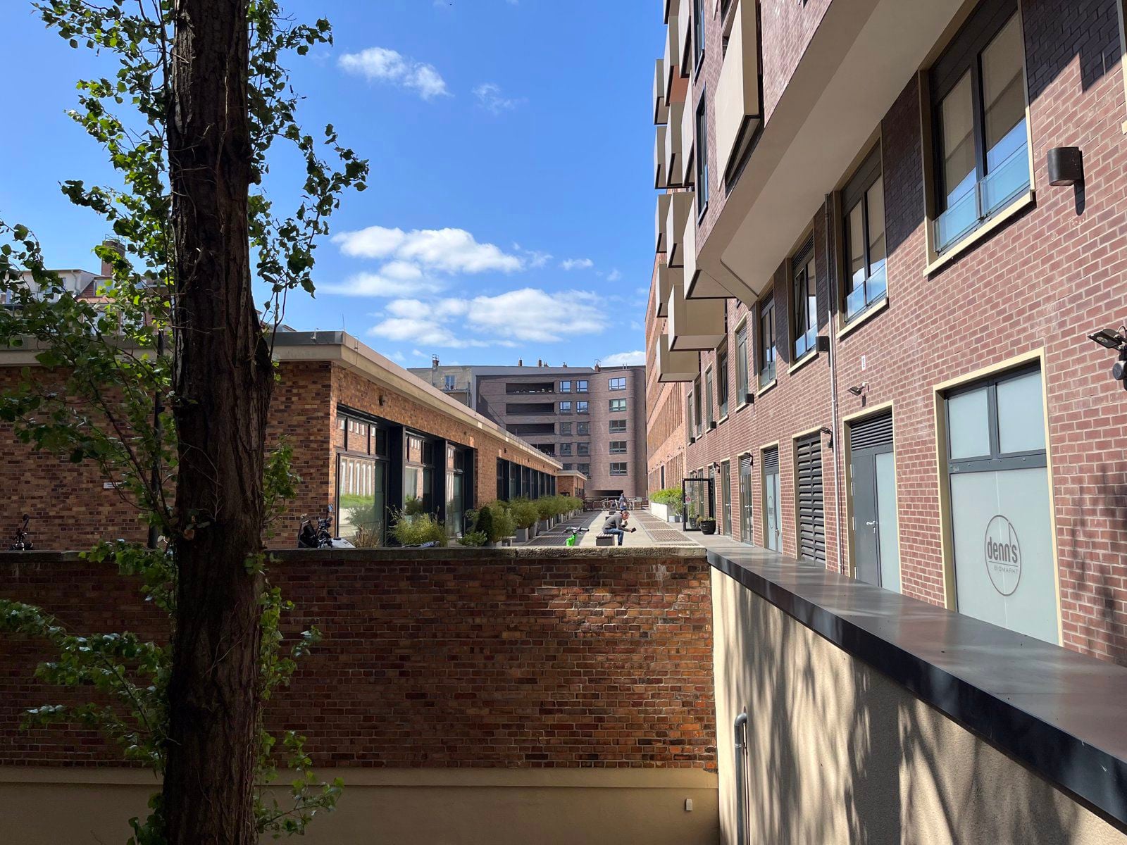 20230517_130407481_iOS